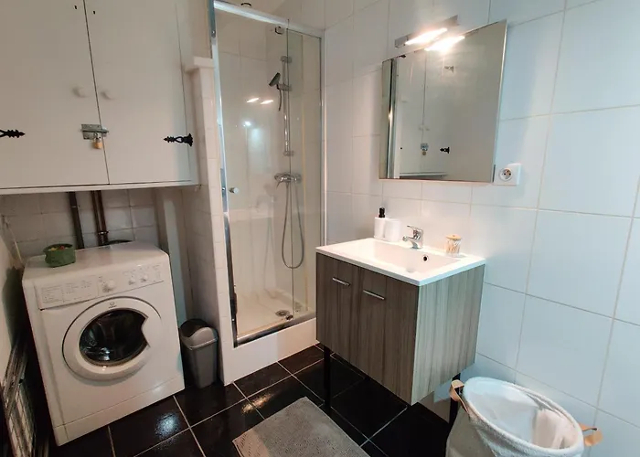 Le Refuge Du Chateau Apartman Foix